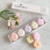 Box of 5 Shower Bombs - Botanical Collection