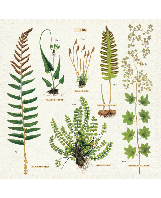 Ferns Cloth Napkins - Set of 4