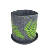 Green Fern Small Grow Bag - Grey