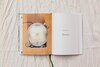 Publisher's Salad: The Two Raw Sisters Recipe Book