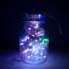 2m Silver Wire Seed Lights - Rainbow