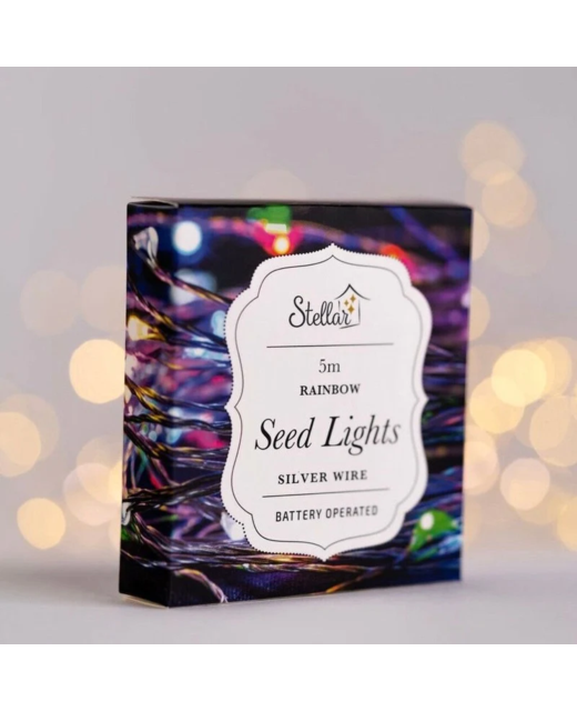 5m Silver Wire Seed Lights - Rainbow
