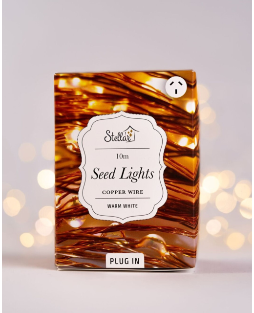10m USB Copper Seed Lights - Warm White