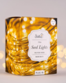 10m USB Silver Seed Lights - Warm White