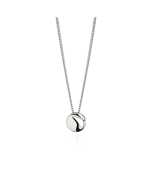 Boh Runga Kiwi Pendant