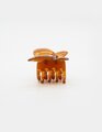 Stella + Gemma Hair Grip - Butterfly Transparent Brown