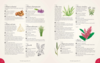 Publisher's Complete Language of Flowers Book