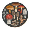 Livewires NZ Fungi Morchella Placemat