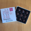 Seriously Good Chocolate Pink Gin Ginetics - 9 Box