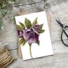 Livewires Hellebore Card