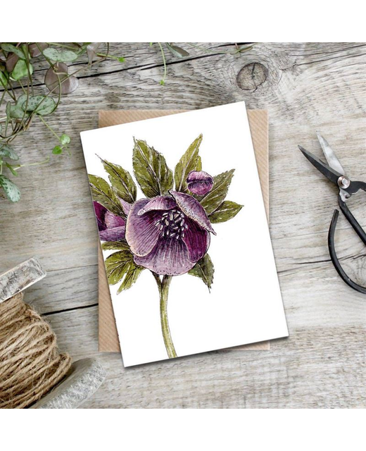 Livewires Hellebore Card