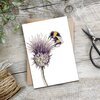 Livewires Thistle & Bee Card