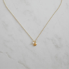 Sophie She Shell Necklace with Pearl