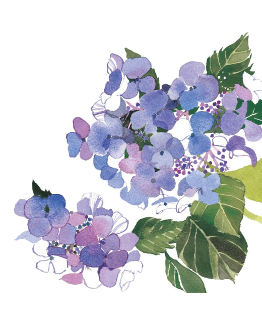 Livewires Blue Hydrangea Card