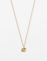 Stella & Gemma Gold Petite Flower Necklace