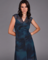 Storm Tempest Print Dress