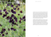 Sweet Pea School - Marryn Mathis