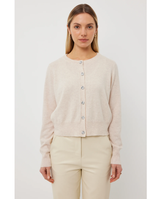 Tuesday Annie Cardi