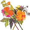 Livewires Chinese Lanterns & Dahlias Card