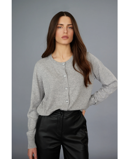 Tuesday Annie Cardi