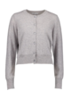 Tuesday Annie Cardi