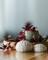 Moana Road Kina Bowl Pair - White