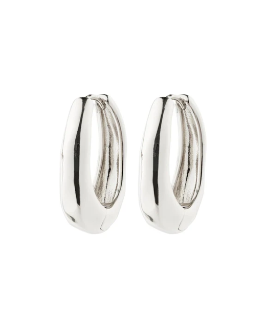 Pilgrim Asher Earrings