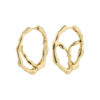 Pilgrim Dido Hoop Earrings