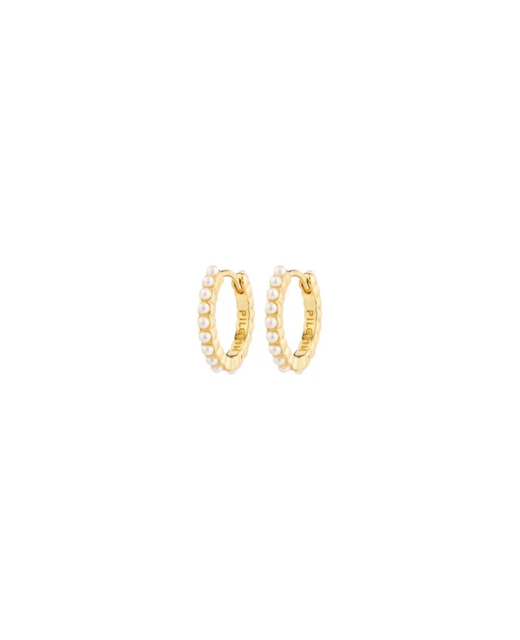 Pilgrim Kalia Recycled Hoop Earrings