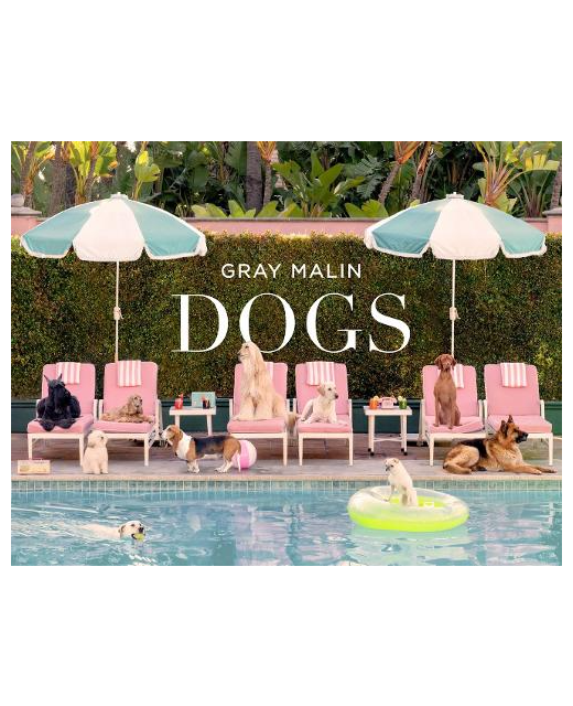 Dogs - Gray Malin