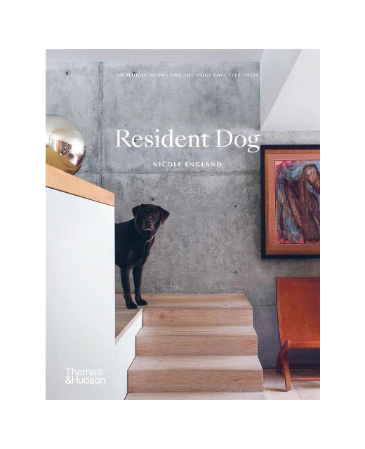 Resident Dog - Nicole England
