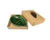 Livewires 12cm Porcelain Mussel Bowl - Green