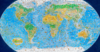 Livewires Wild World 1500pc Puzzle