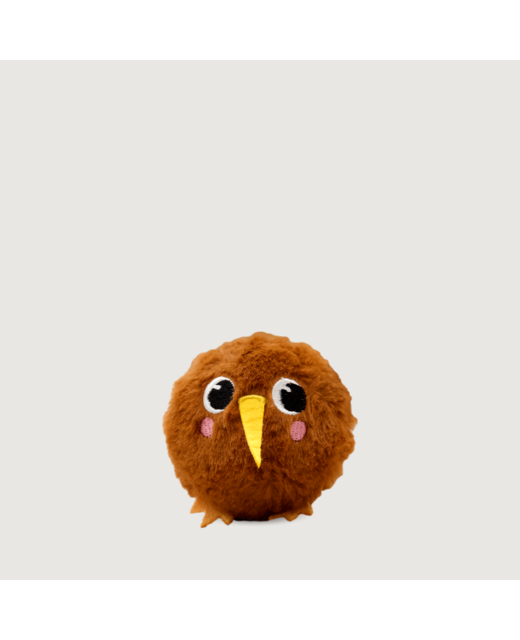 Moana Road Kiwi BouNZy Ball