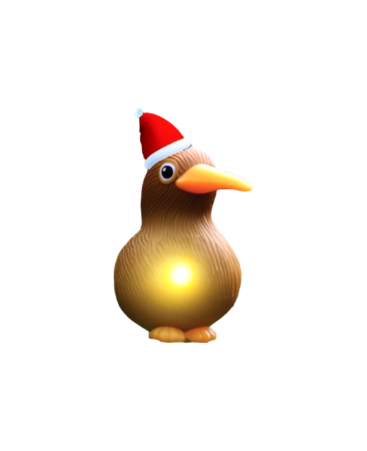 Moana Road Kiwi Santa Lights