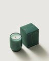 Ashley & Co Waxed Perfume - Yulepine