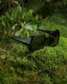 Saben Remi Sunglasses