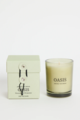 Among The Brave Oasis Honeysuckle + Jasmine 60g Soy Candle