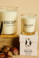 Among The Brave Escape Vanilla Amber 60g Soy Candle