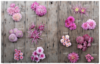 Floret Farm's A Year in Flowers - Erin Benzakein