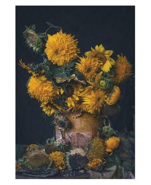 Fields of Gold Card