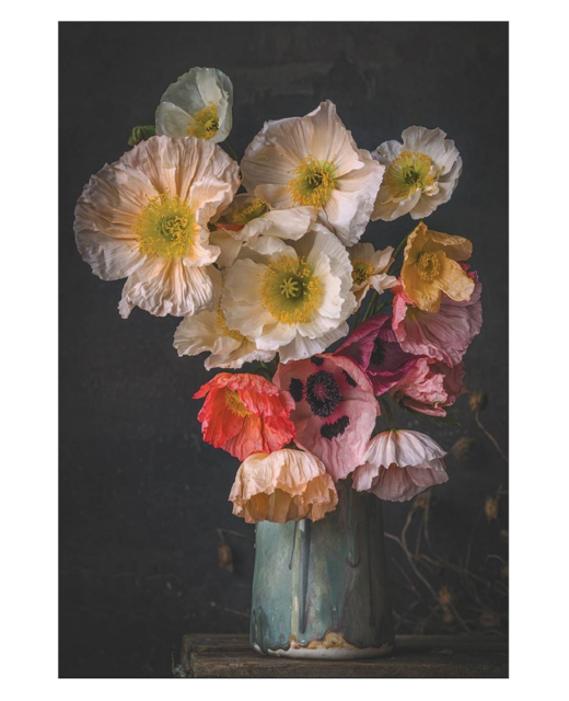 Livewires Poppies in Little Blue Jug Card