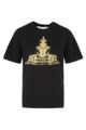 Coop Fountain of Sparkle T-Shirt