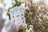MOANA RD Scavenger Hunt