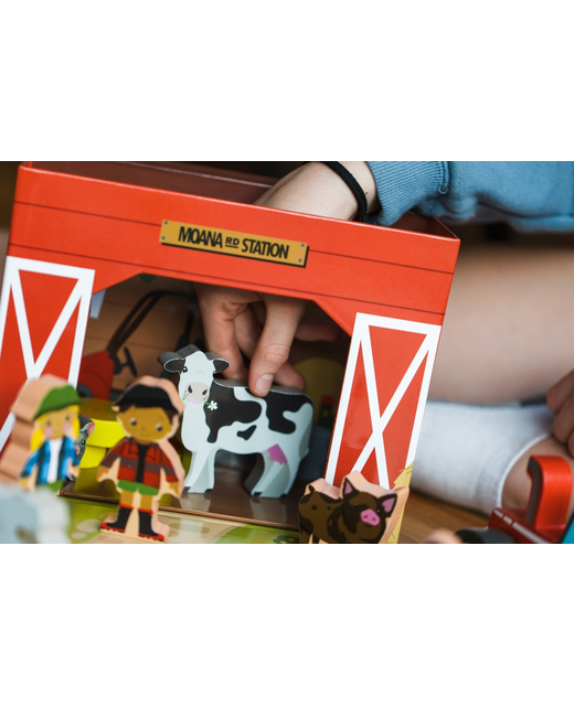 MOANA RD Farm Scene Play Set