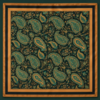 Carter Earthy Paisley Scarf