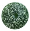 Live Wires Kina Bowl Green 22cm