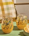 Live Wires Golden Hour Set of 2 Glass Tumblers