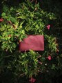 Saben Tilly Crossbody Bag