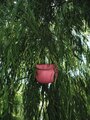 Saben Fifi Crossbody Bag